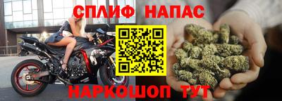 гашик Гусь-Хрустальный