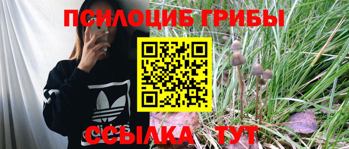 Галлюциногенные грибы Cubensis Мичуринск