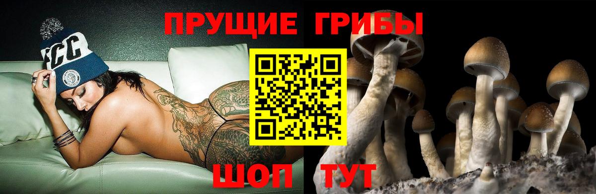 Мичуринск  Псилоцибиновые грибы Psilocybe  наркошоп  Вход с VPN 